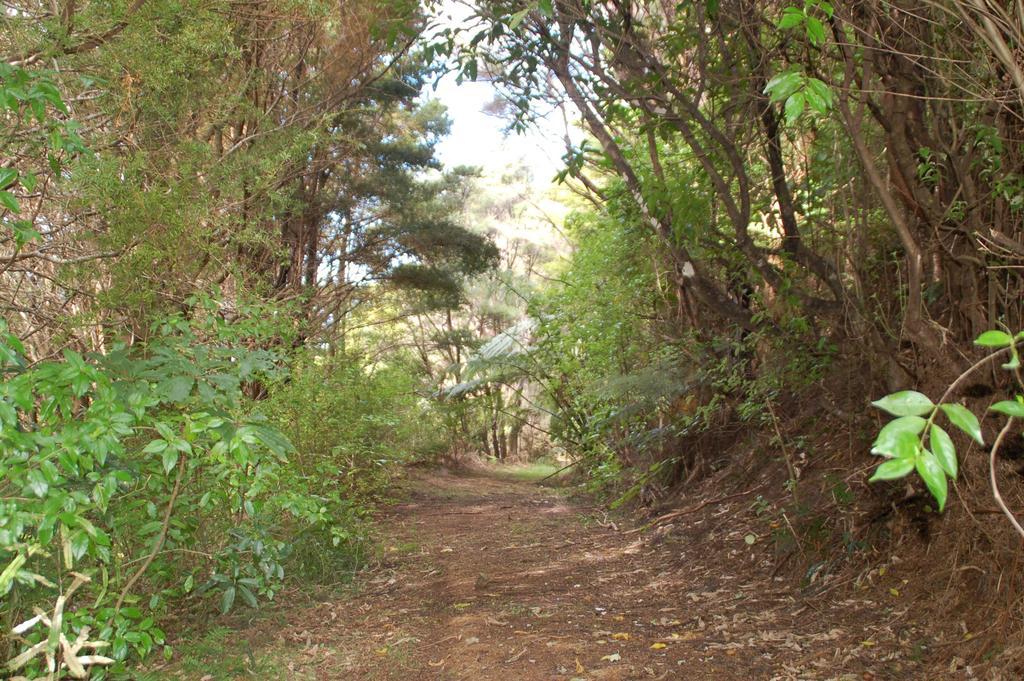 Kohinui Glade Holiday Cottage Parua Bay Exterior photo