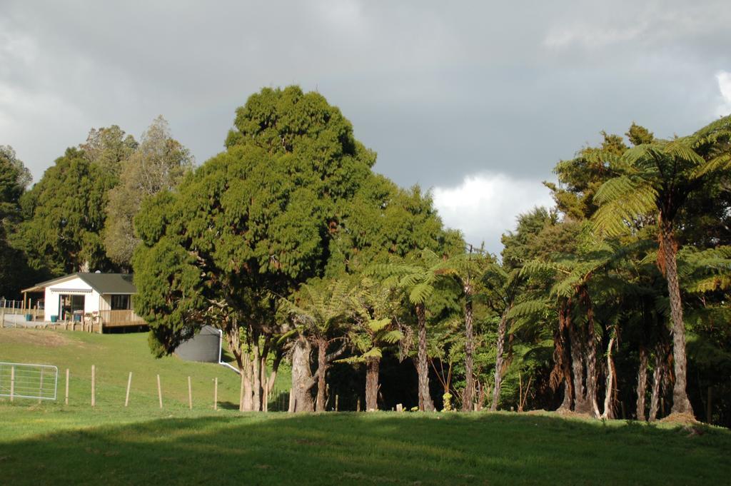 Kohinui Glade Holiday Cottage Parua Bay Exterior photo